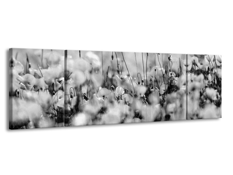 Canvas Schilderij Bloemen | Grijs, Zwart | 170x50cm 3Luik