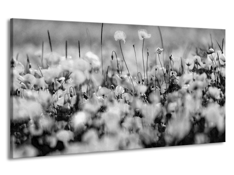 Canvas Schilderij Bloemen | Grijs, Zwart | 190x100cm 1Luik