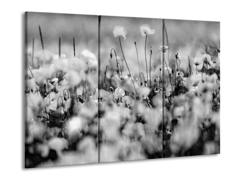 Glasschilderij Bloemen | Grijs, Zwart | 60x90cm 3Luik