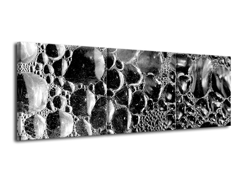 Canvas Schilderij Macro | Grijs, Zwart | 120x40cm 3Luik