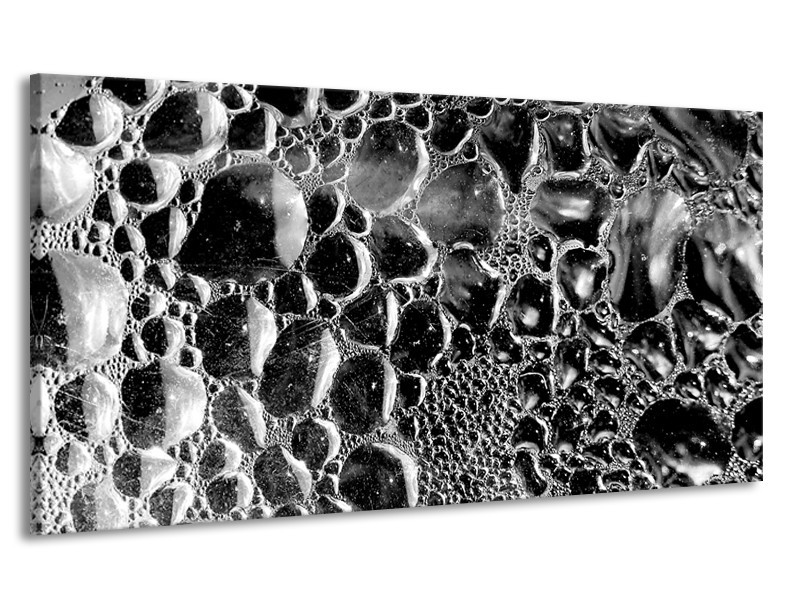Canvas Schilderij Macro | Grijs, Zwart | 170x90cm 1Luik