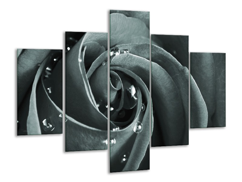 Canvas Schilderij Roos, Bloem | Grijs, Zwart, Groen | 100x70cm 5Luik
