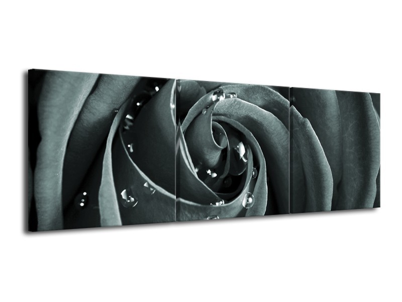 Canvas Schilderij Roos, Bloem | Grijs, Zwart, Groen | 120x40cm 3Luik