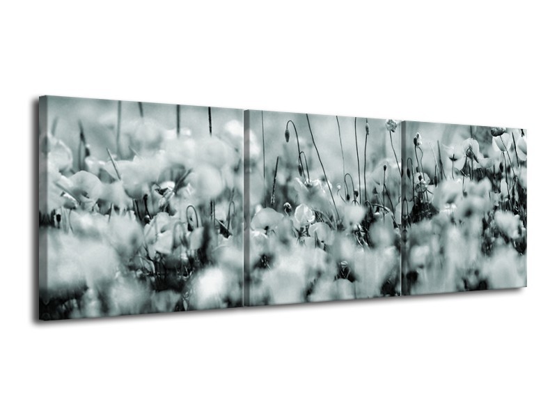 Canvas Schilderij Bloemen | Grijs, Zwart, Groen | 120x40cm 3Luik