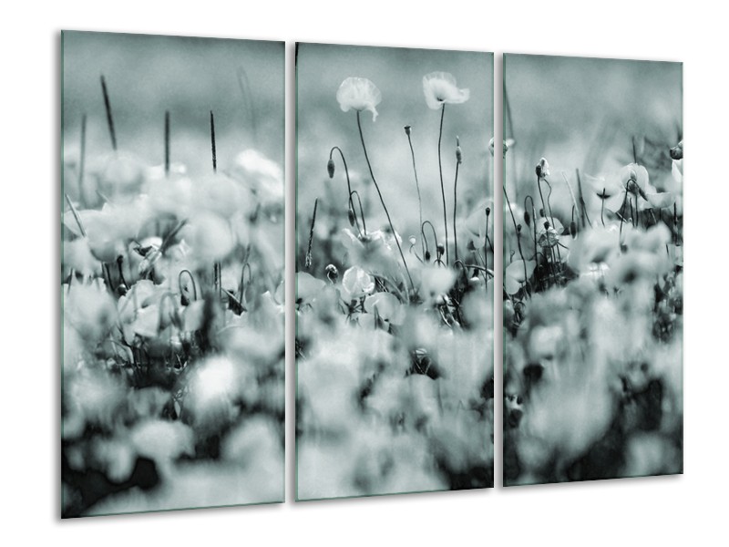 Canvas Schilderij Bloemen | Grijs, Zwart, Groen | 120x80cm 3Luik