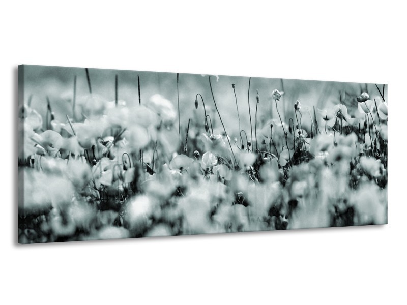 Glasschilderij Bloemen | Grijs, Zwart, Groen | 145x58cm 1Luik