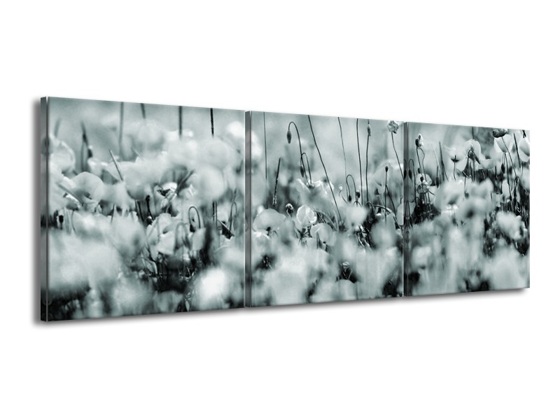 Glasschilderij Bloemen | Grijs, Zwart, Groen | 150x50cm 3Luik