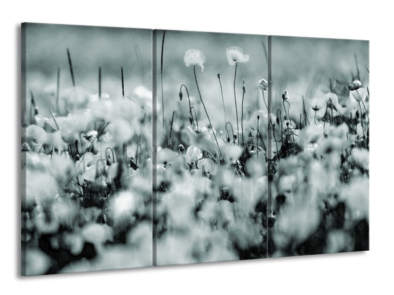 Glasschilderij Bloemen | Grijs, Zwart, Groen | 165x100cm 3Luik