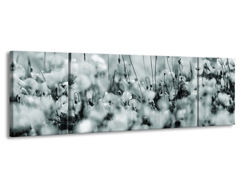 Glasschilderij Bloemen | Grijs, Zwart, Groen | 170x50cm 3Luik