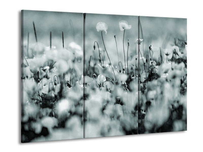 Glasschilderij Bloemen | Grijs, Zwart, Groen | 60x90cm 3Luik