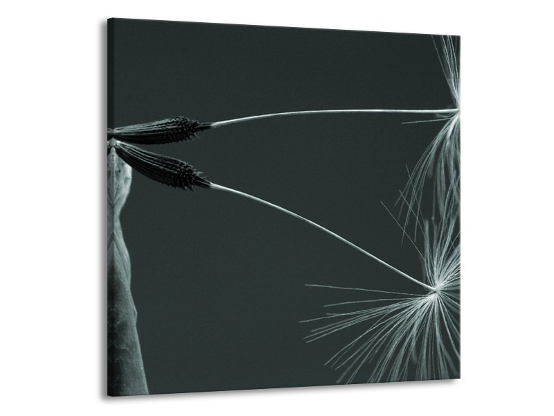 Canvas Schilderij Bloem | Grijs, Zwart, Groen | 70x70cm 1Luik