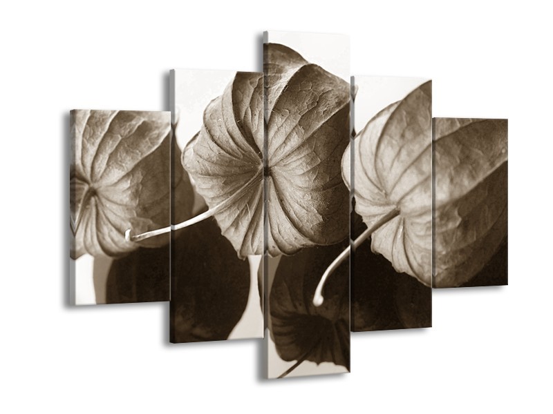 Glasschilderij Bloem | Crème , Sepia | 150x105cm 5Luik