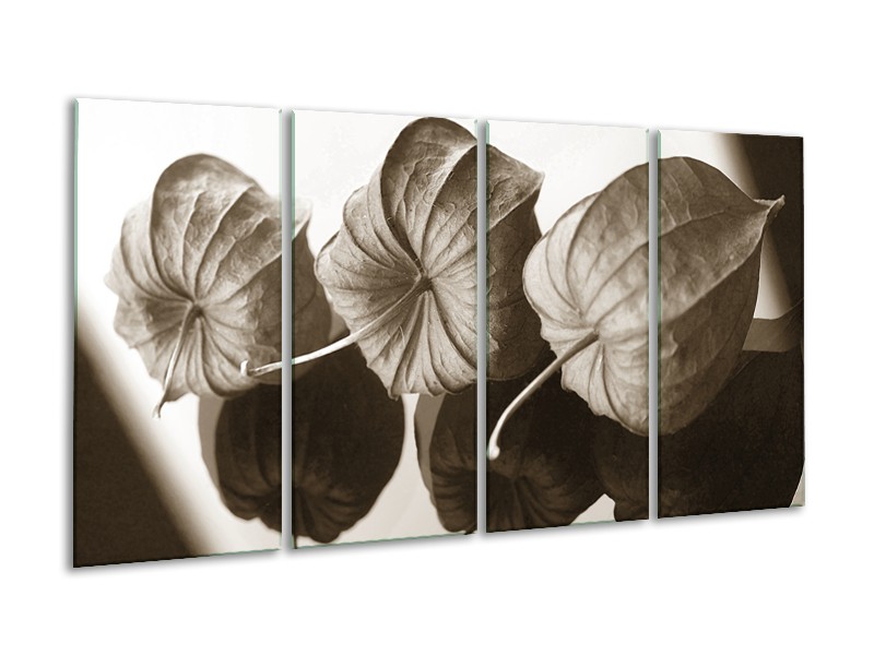 Glasschilderij Bloem | Crème , Sepia | 160x80cm 4Luik