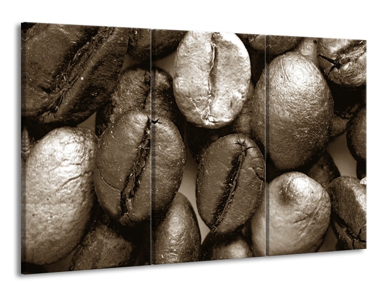 Glasschilderij Koffiebonen, Keuken | Sepia, Bruin | 165x100cm 3Luik