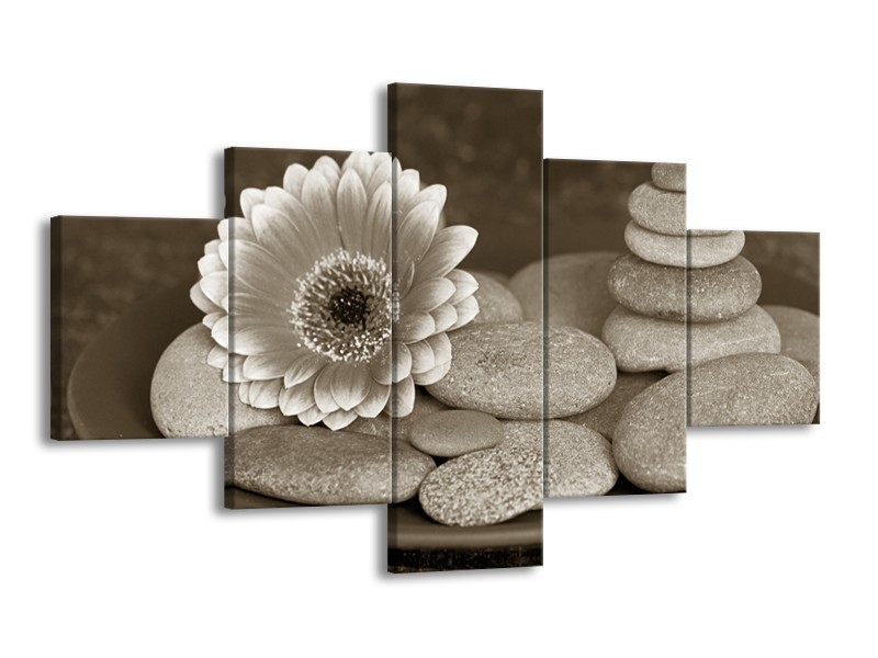 Glasschilderij Bloem, Stenen | Sepia, Bruin | 125x70cm 5Luik