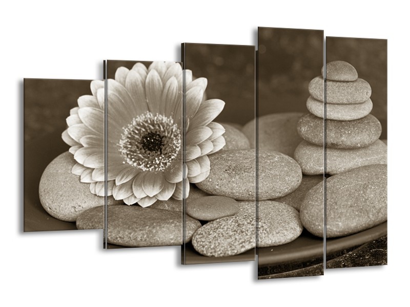 Glasschilderij Bloem, Stenen | Sepia, Bruin | 150x100cm 5Luik