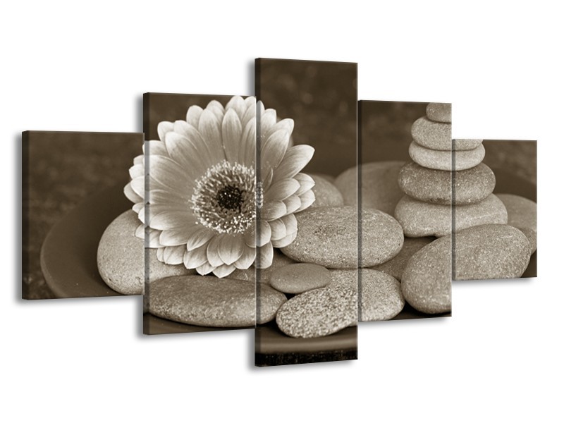 Canvas Schilderij Bloem, Stenen | Sepia, Bruin | 150x80cm 5Luik