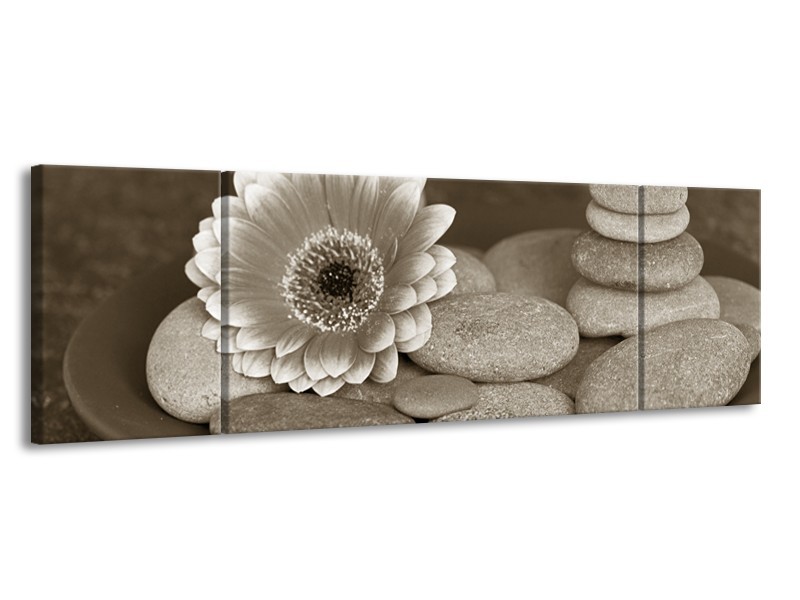 Glasschilderij Bloem, Stenen | Sepia, Bruin | 170x50cm 3Luik