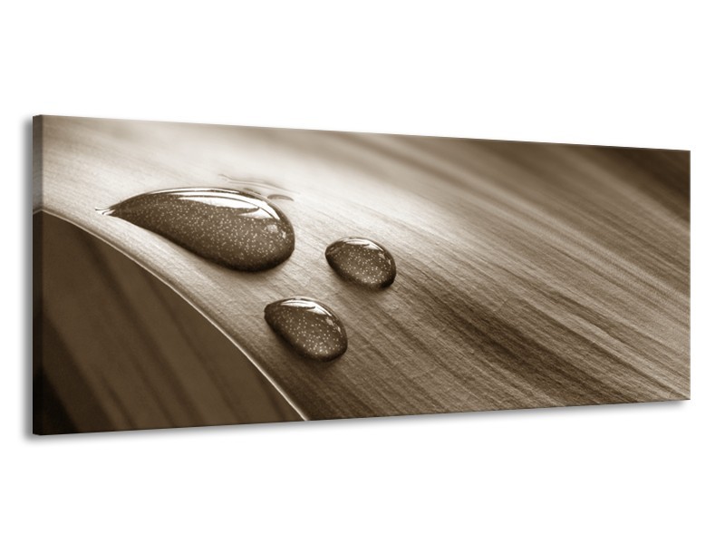 Canvas Schilderij Macro, Druppel | Sepia, Bruin | 145x58cm 1Luik