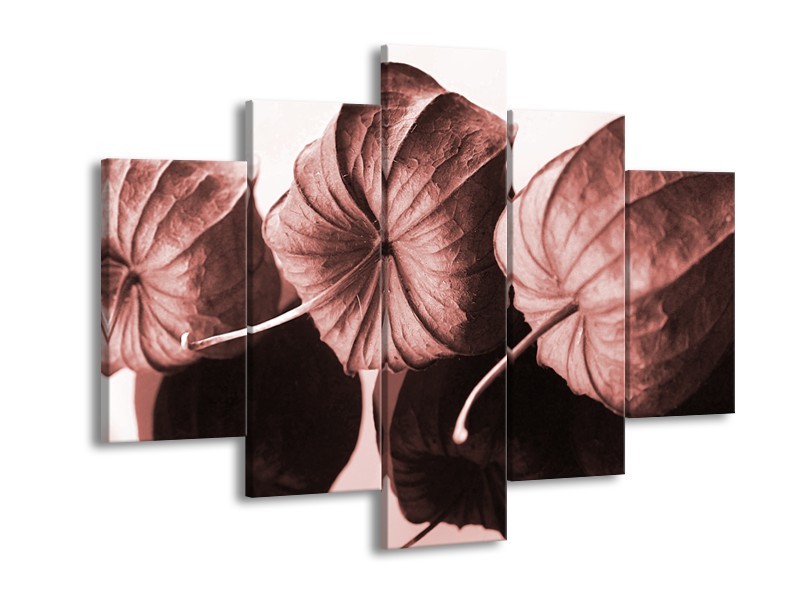 Glasschilderij Bloem | Bruin, Rood | 150x105cm 5Luik