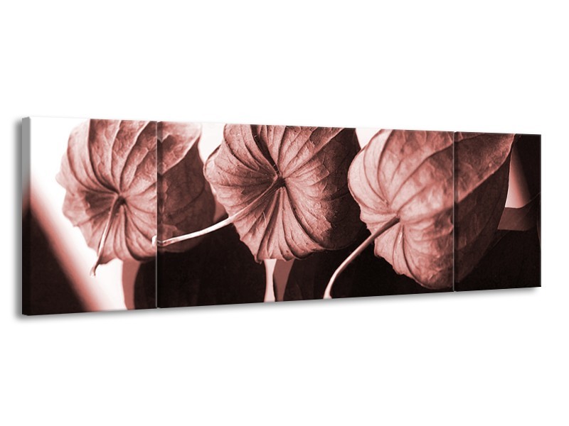 Canvas Schilderij Bloem | Bruin, Rood | 170x50cm 3Luik