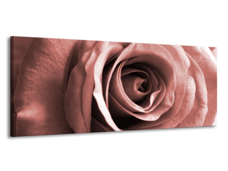 Canvas Schilderij Roos, Bloem | Bruin, Rood | 145x58cm 1Luik