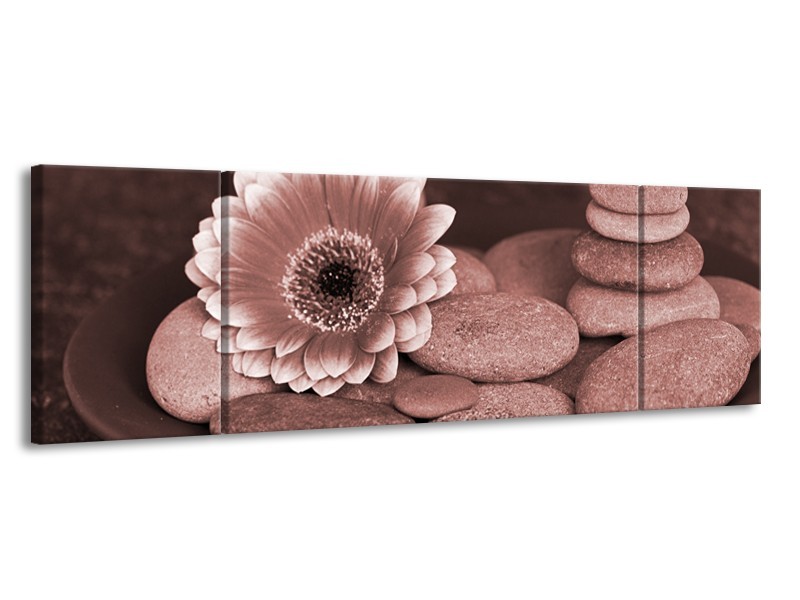 Canvas Schilderij Bloem, Stenen | Bruin, Rood | 170x50cm 3Luik