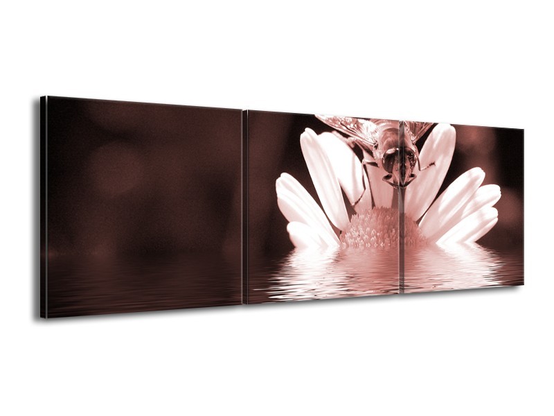 Canvas Schilderij Bloem | Bruin, Rood | 150x50cm 3Luik