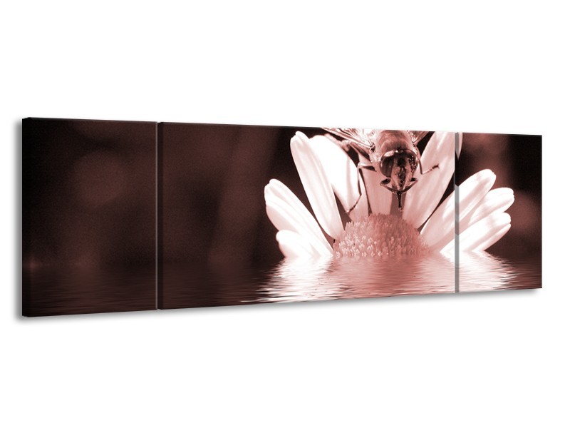 Glasschilderij Bloem | Bruin, Rood | 170x50cm 3Luik