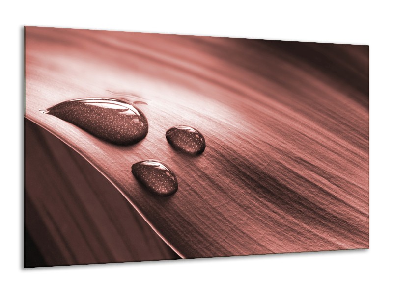 Canvas Schilderij Macro, Druppel | Bruin, Rood | 120x70cm 1Luik