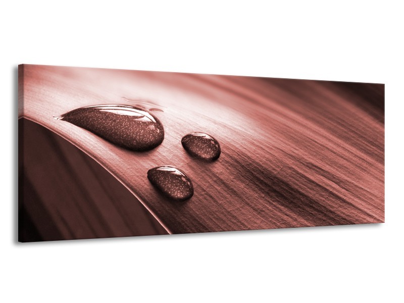 Canvas Schilderij Macro, Druppel | Bruin, Rood | 145x58cm 1Luik