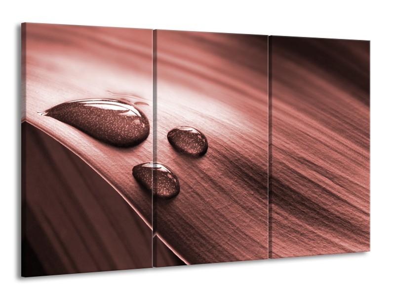 Canvas Schilderij Macro, Druppel | Bruin, Rood | 165x100cm 3Luik