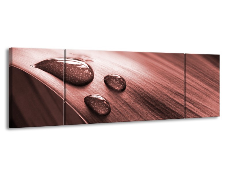 Canvas Schilderij Macro, Druppel | Bruin, Rood | 170x50cm 3Luik