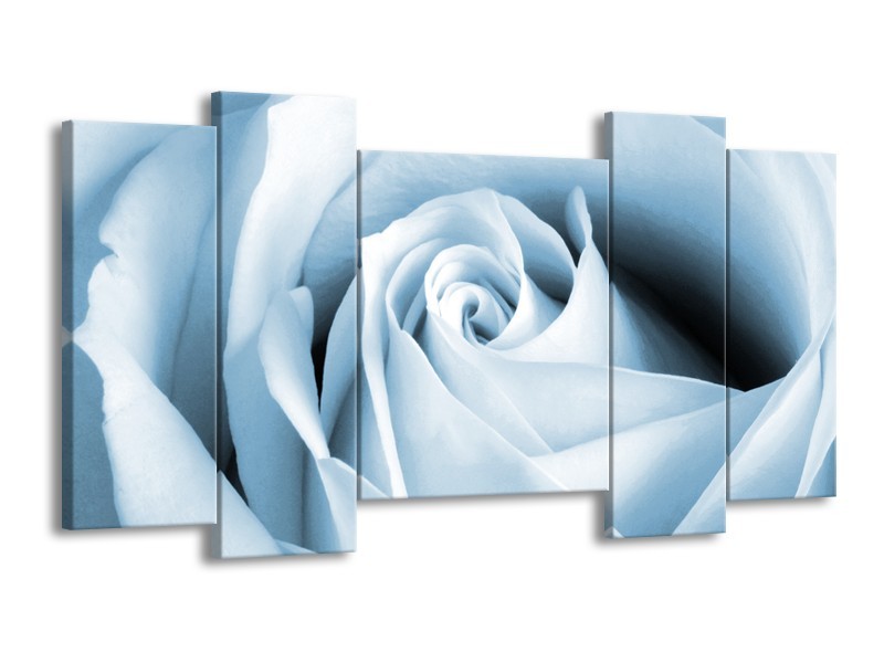 Canvas Schilderij Roos, Bloem | Blauw, Wit | 120x65cm 5Luik