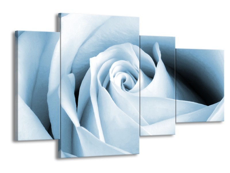 Glasschilderij Roos, Bloem | Blauw, Wit | 120x75cm 4Luik