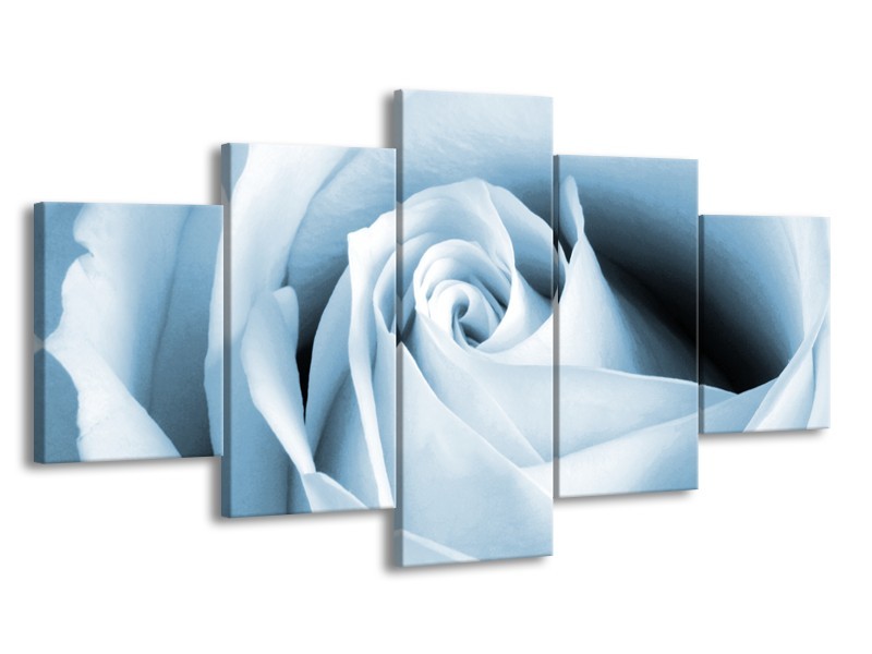 Glasschilderij Roos, Bloem | Blauw, Wit | 150x80cm 5Luik