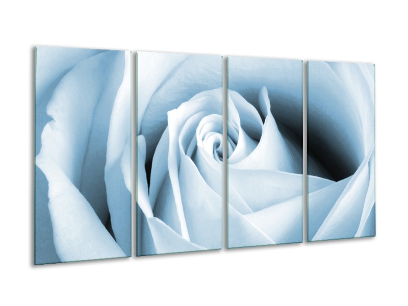 Canvas Schilderij Roos, Bloem | Blauw, Wit | 160x80cm 4Luik