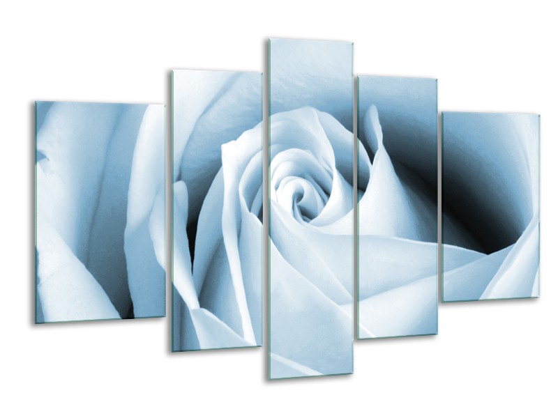 Glasschilderij Roos, Bloem | Blauw, Wit | 170x100cm 5Luik