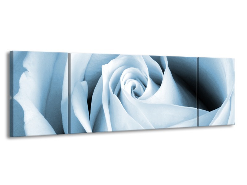 Canvas Schilderij Roos, Bloem | Blauw, Wit | 170x50cm 3Luik