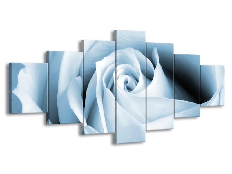 Glasschilderij Roos, Bloem | Blauw, Wit | 210x100cm 7Luik