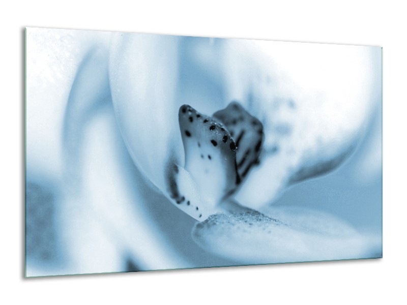 Glasschilderij Bloem | Blauw, Wit | 120x70cm 1Luik