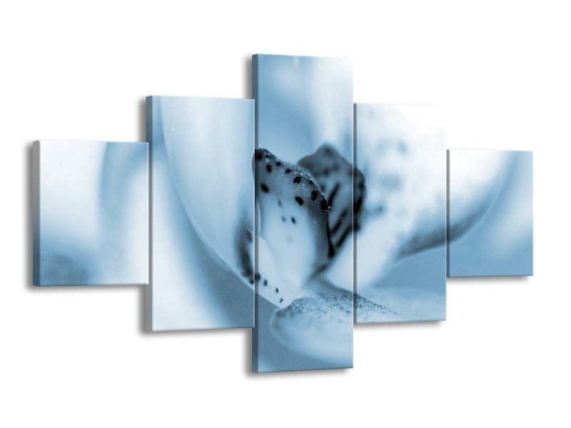 Glasschilderij Bloem | Blauw, Wit | 125x70cm 5Luik