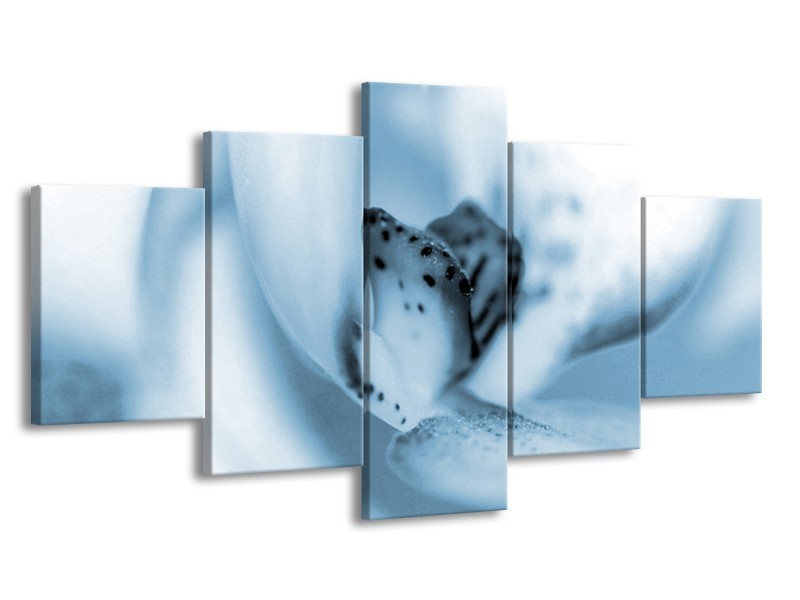 Glasschilderij Bloem | Blauw, Wit | 150x80cm 5Luik