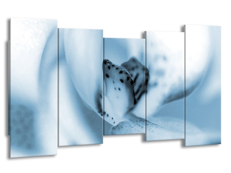 Glasschilderij Bloem | Blauw, Wit | 150x80cm 5Luik