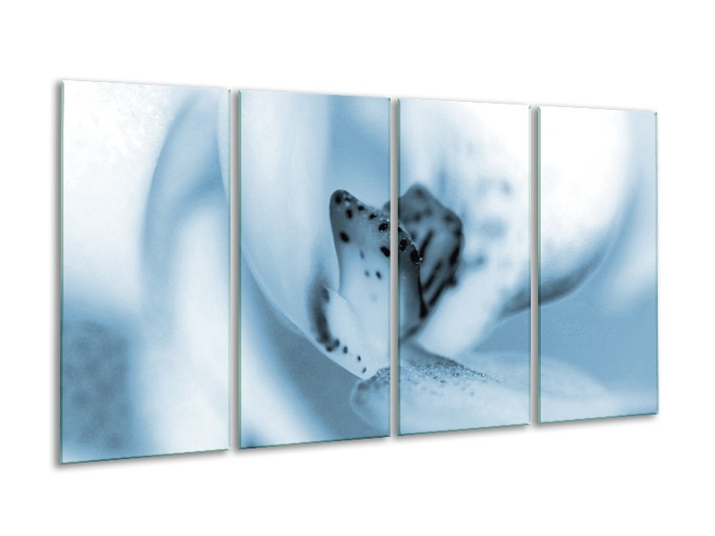 Glasschilderij Bloem | Blauw, Wit | 160x80cm 4Luik