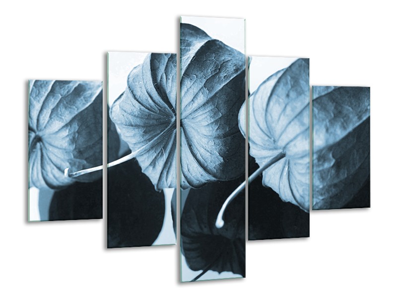 Glasschilderij Bloem | Blauw, Wit | 100x70cm 5Luik