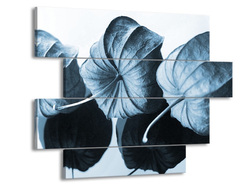 Glasschilderij Bloem | Blauw, Wit | 115x85cm 4Luik