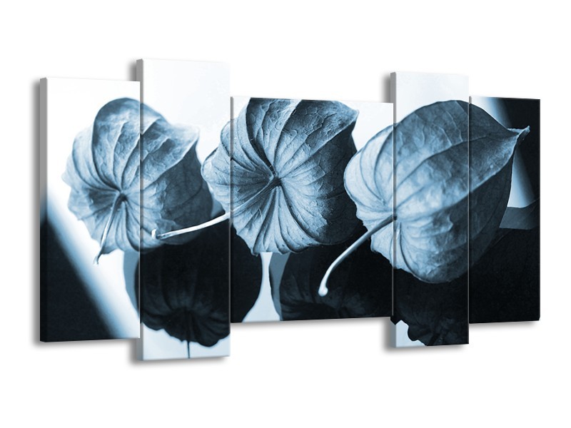 Canvas Schilderij Bloem | Blauw, Wit | 120x65cm 5Luik