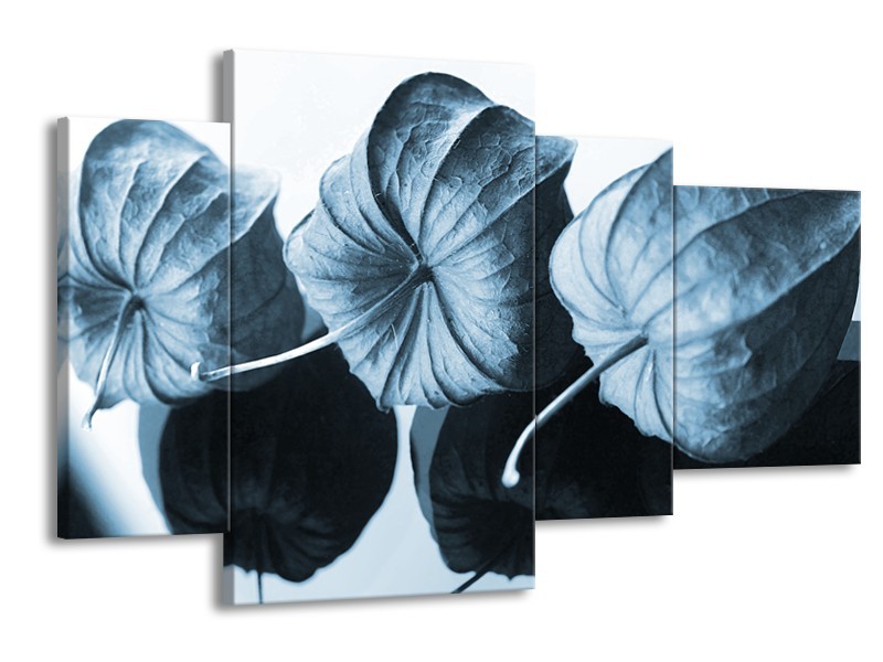 Canvas Schilderij Bloem | Blauw, Wit | 120x75cm 4Luik