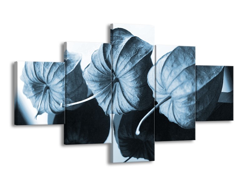 Canvas Schilderij Bloem | Blauw, Wit | 125x70cm 5Luik